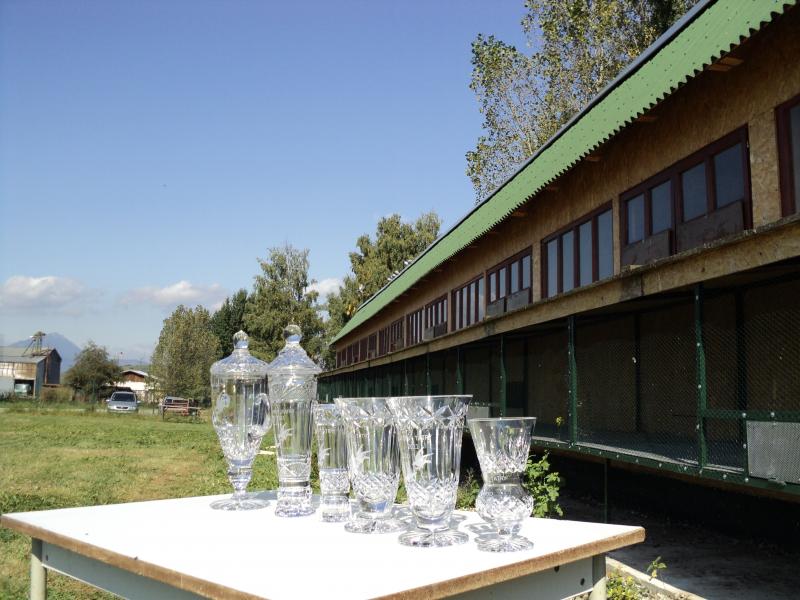 Dolet holubov Kolin 16.9.2011