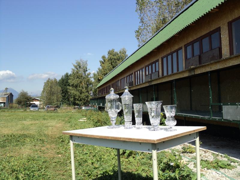 Dolet holubov Kolin 16.9.2011