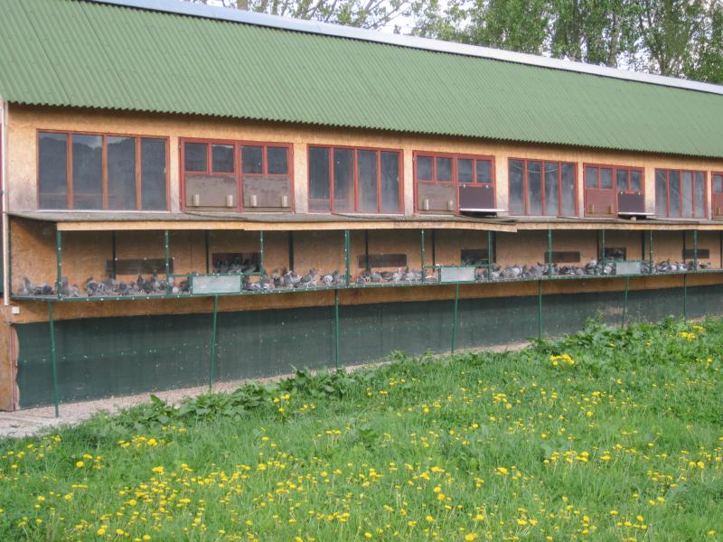 Zber západ 28.04.2012