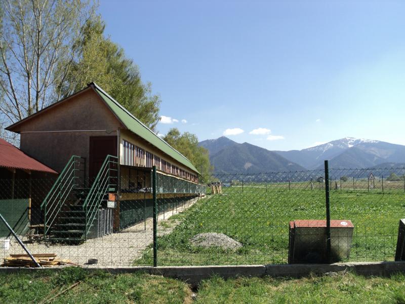 Foto Roman Sládek