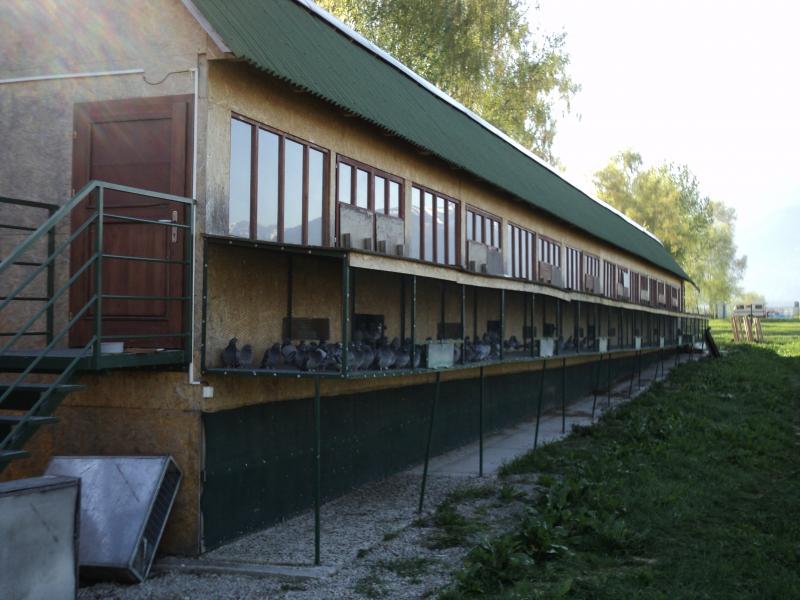 Foto Roman Sládek
