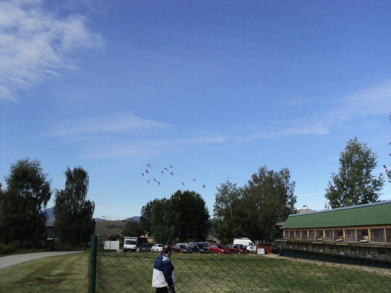 Finálový pretek rok 2012