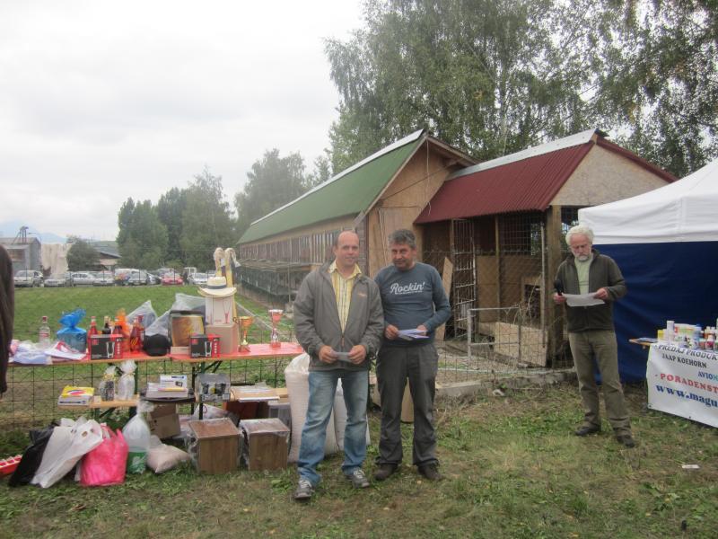 Udeľovanie cien