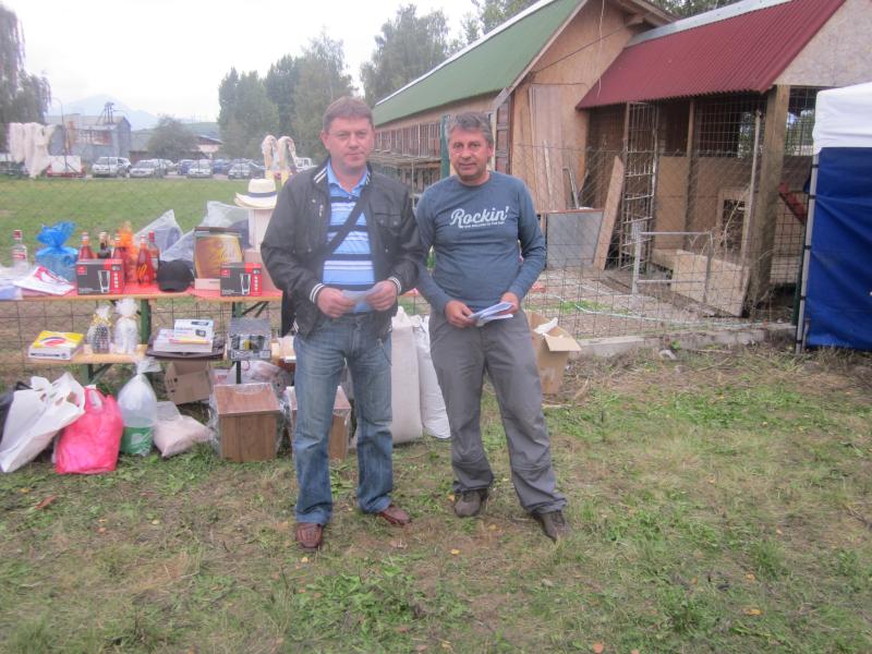 Udeľovanie cien