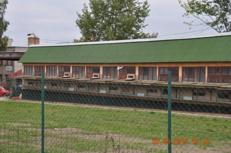 Víťazný dolet