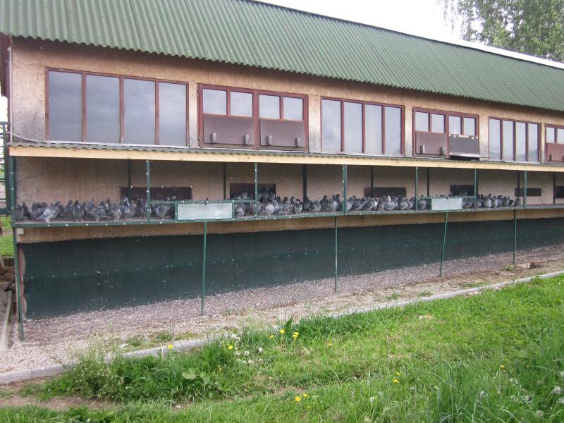 Posledné foto zo zberu