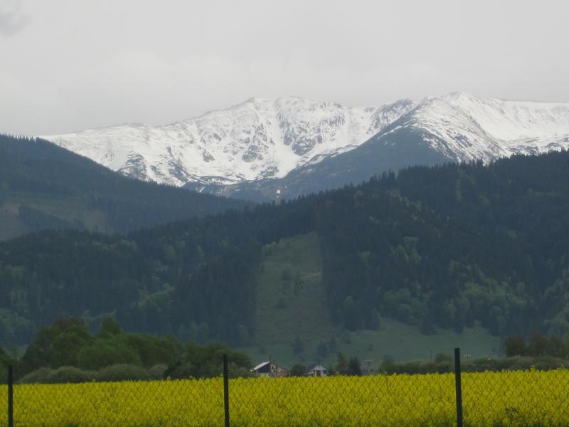 Posledné foto zo zberu