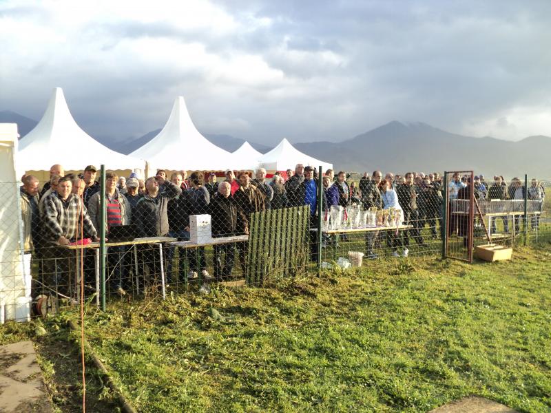 FINÁLOVÝ ZÁVOD 2014