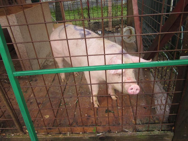 FOTO Z FINÁLE