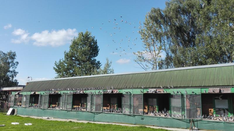 Oravská Lesná 1.