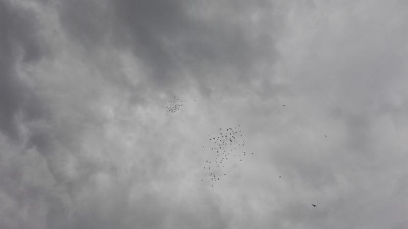 UTOROK 26.6.