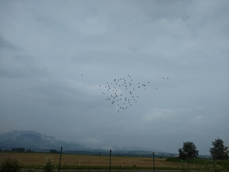piatok 7.6.2019