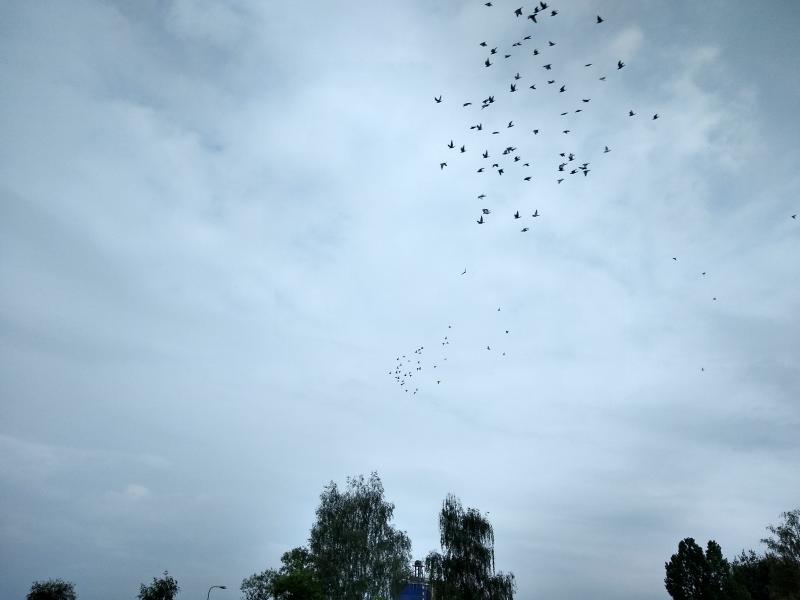 piatok 7.6.2019