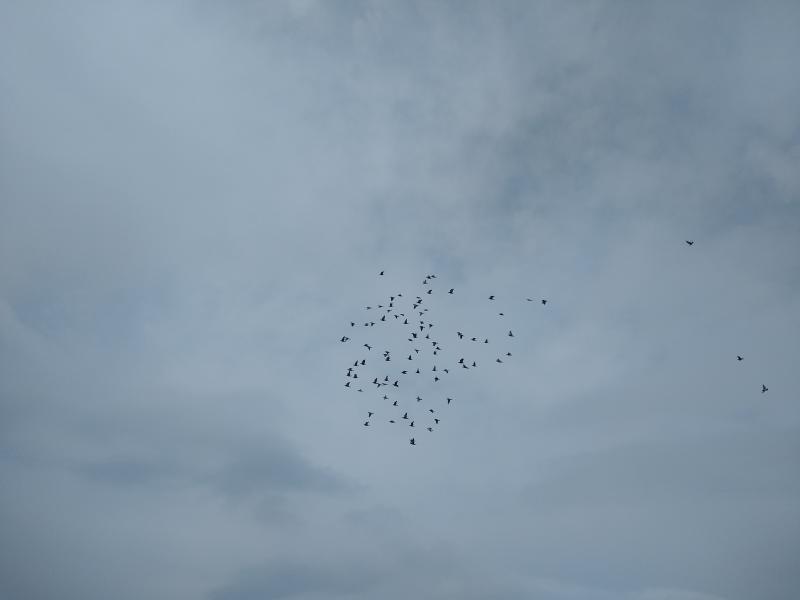 piatok 7.6.2019