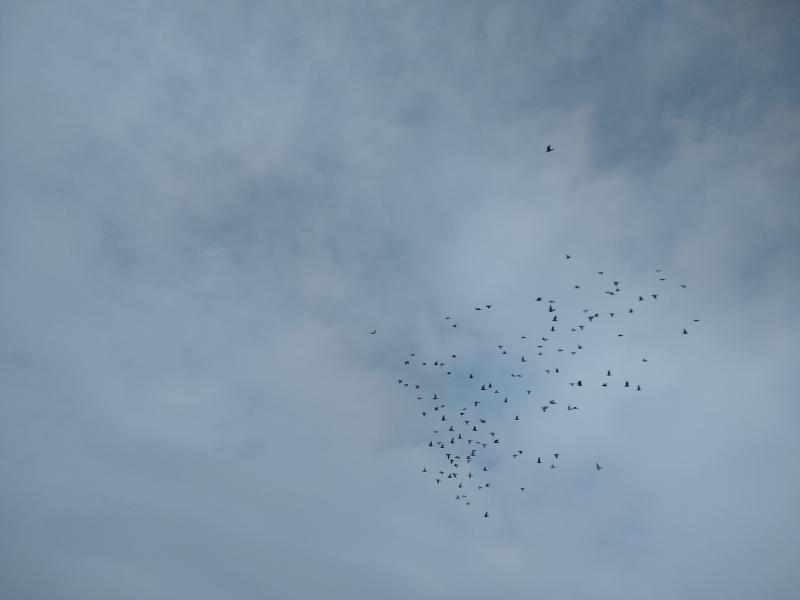 piatok 7.6.2019