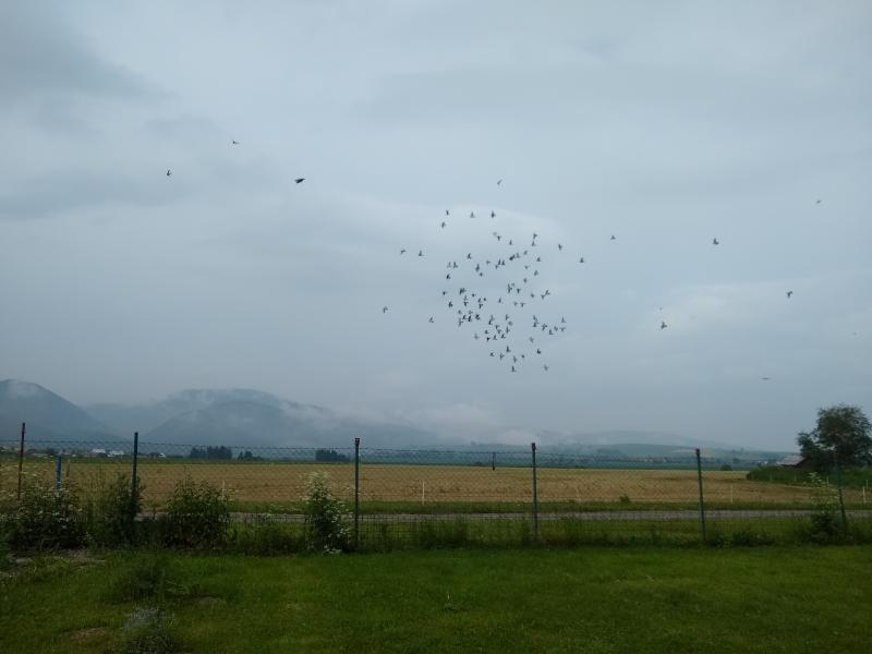 piatok 7.6.2019