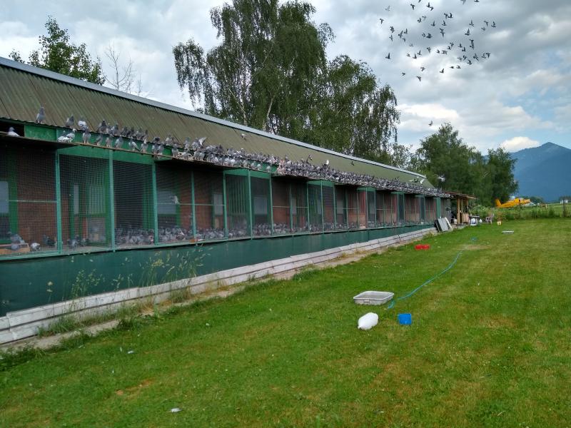 14.6. podvečer