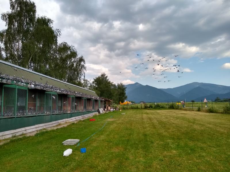 14.6. podvečer