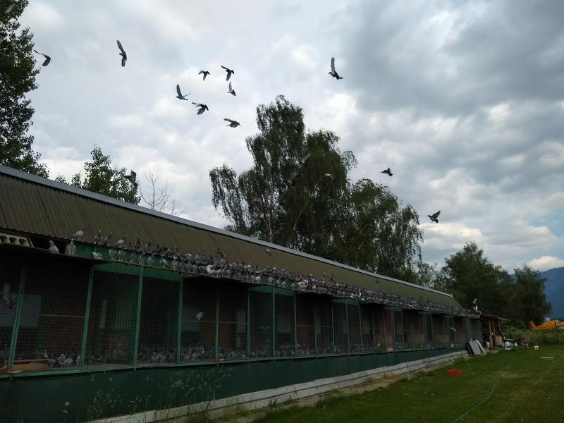 14.6. podvečer