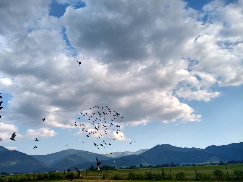 14.6. podvečer