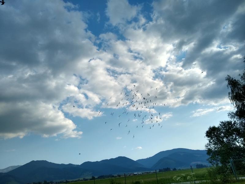 14.6. podvečer