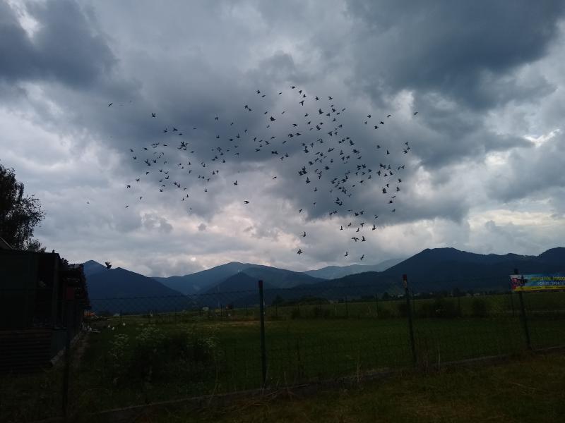 VOLNOSŤ