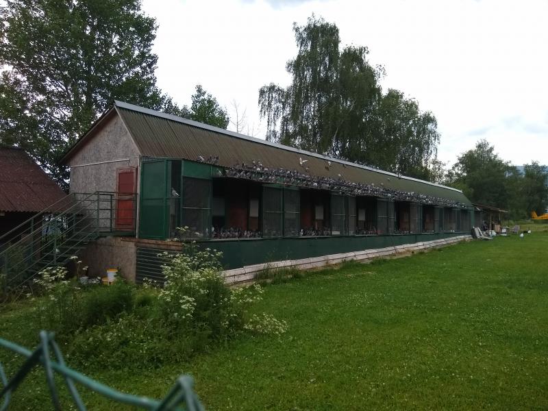 VOLNOSŤ