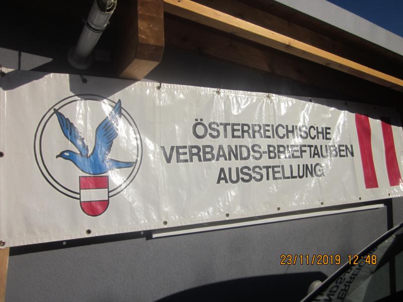 65.Verbandsausstellung 23.11.2019