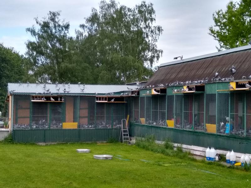VOLNOSŤ