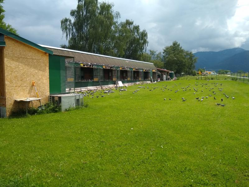 VOLNOSŤ