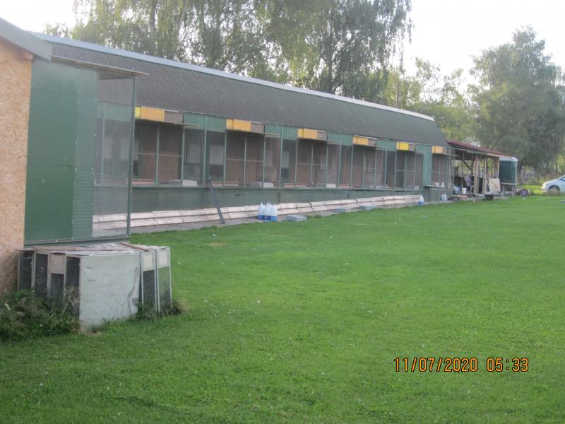 Čipovanie 11-12.7.2020